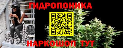 индика Кунгур