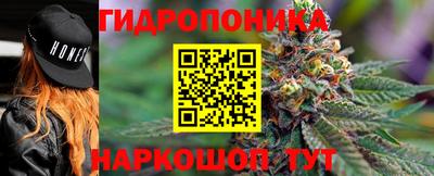 индика Кунгур