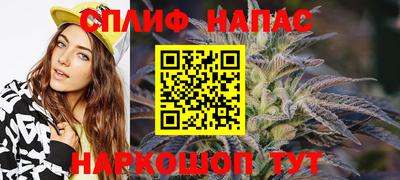 индика Кунгур