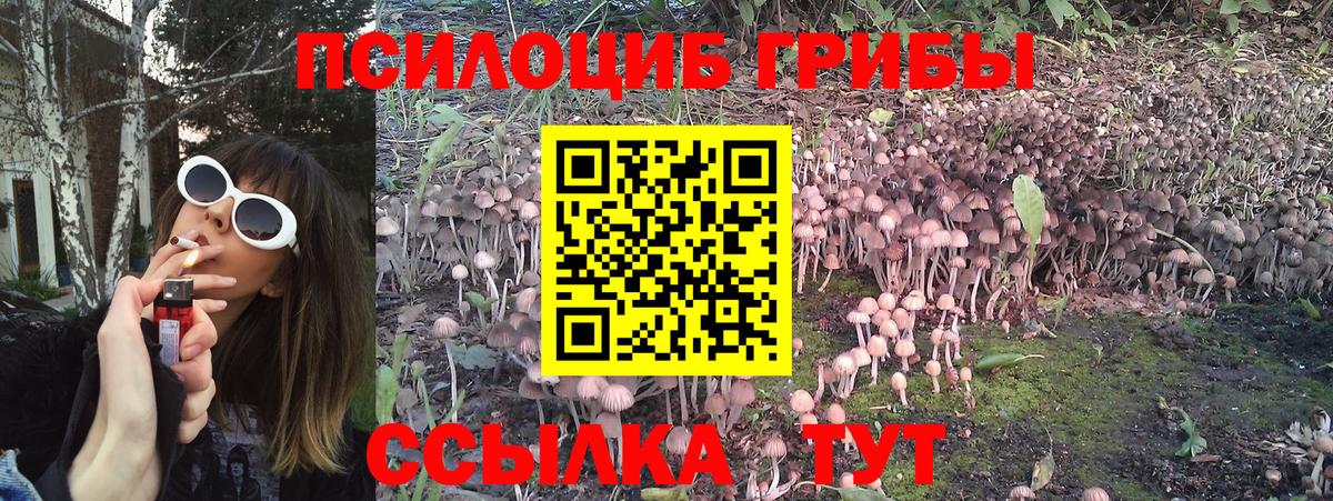 Галлюциногенные грибы мухоморы  Галлюциногенные грибы Magic Shrooms  Камышлов  Вход с VPN 