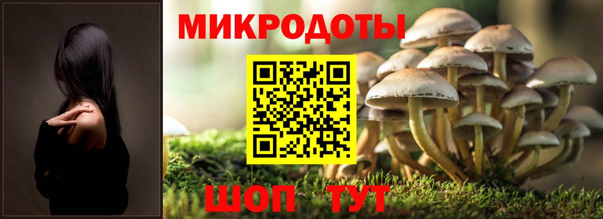 Галлюциногенные грибы GOLDEN TEACHER Камышлов
